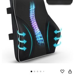 eager back support Car Cushion 