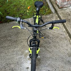20” Boy's Mountain Bike