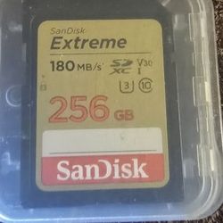 SanDisk 256GB Extreme SDXC UHS-I Memory Card - SDSDXVV-256G-GNCIN
