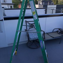Werner 6’ Step Ladder