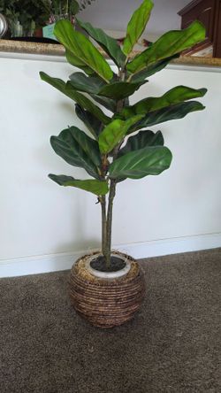 Artificial Fiddle Leaf Fig Plant in woven basket
