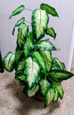 Fake plant