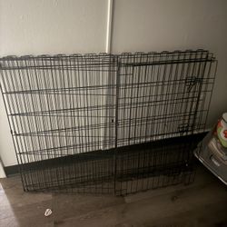 Dog Cage 
