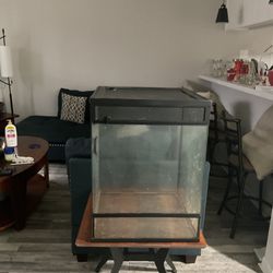 Zoomed Amphibian Or Reptile Habitat