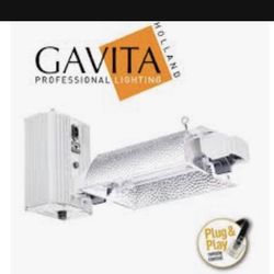 Gavita Grow Lighting