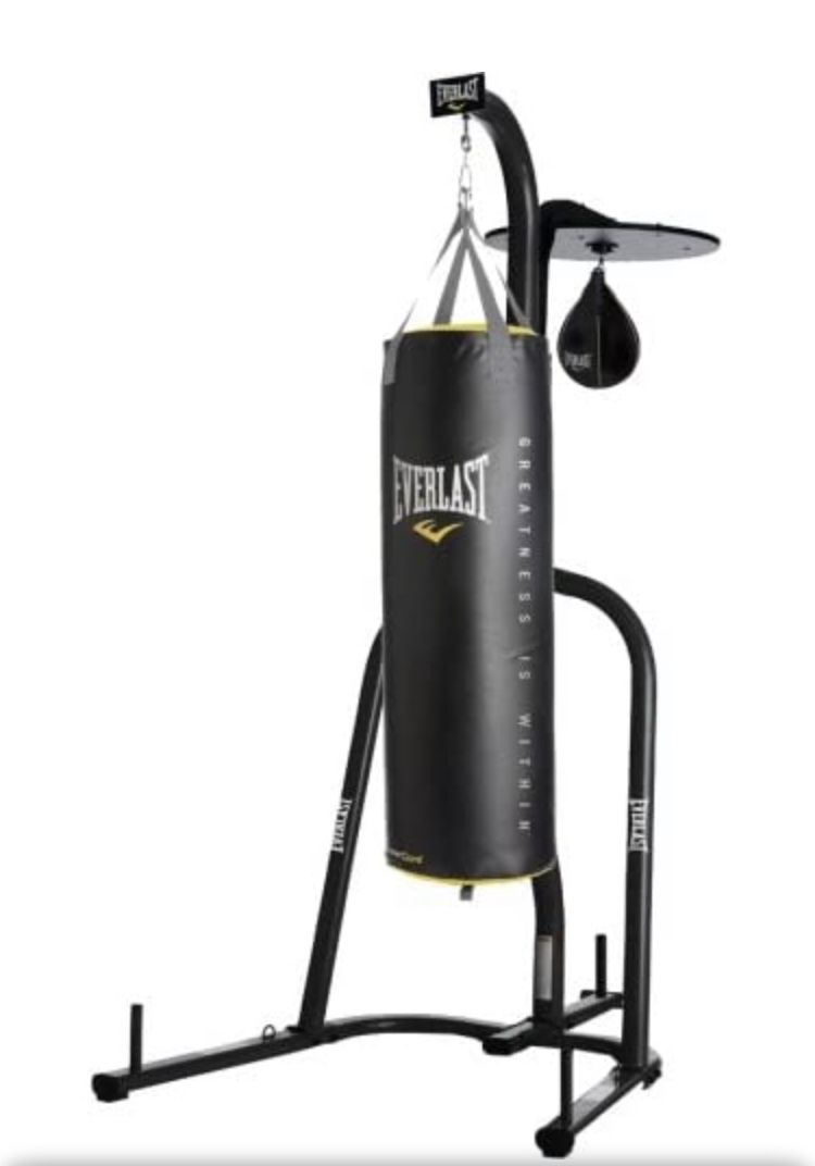 Everlast Punching Bag (heavy And Speed Bag)