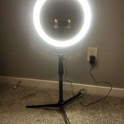 UBeesize 12” Selfie Ring With Tripod 