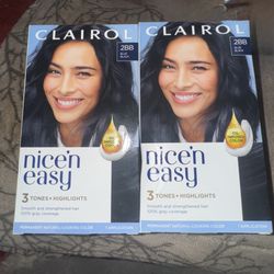 2box Black/Blue Hair Dye Clairol
