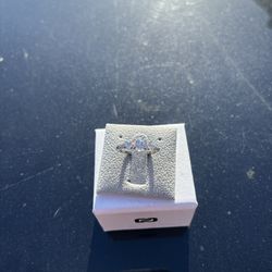 Stainless Steel Ring