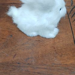 Easter Bunny Decor