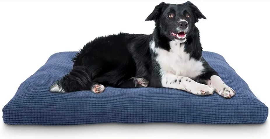 Dog Bed