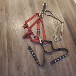 Safety Harness 