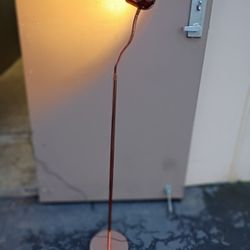 Brass Gooseneck Floor Lamp on Sale $36