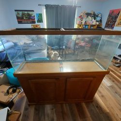 55 Gallon Tank With Stand!