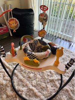 Baby Jumper/Bouncer