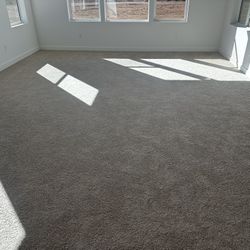 Carpet