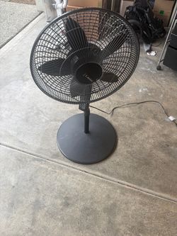 Free Fan