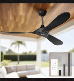 Ceiling fan