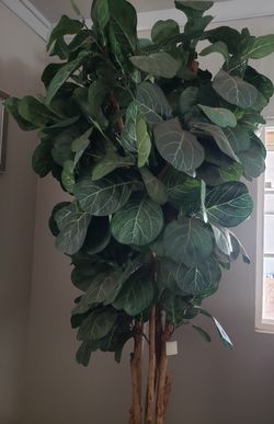 Planta Artificial