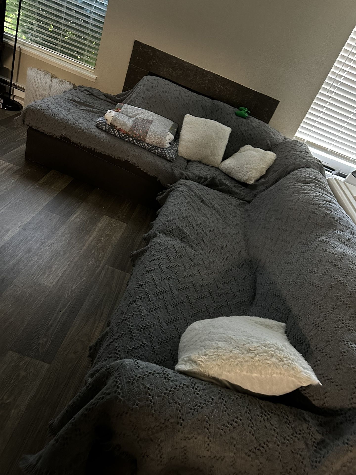Sectional Couch