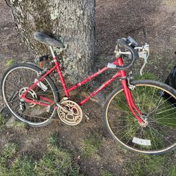 Vintage/Antique Bicycle