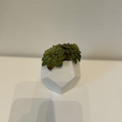 Faux Succulent 
