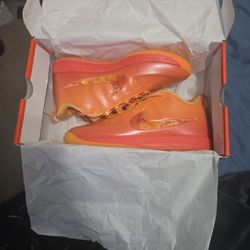 Devin Booker Book 2 Shoes 10.5