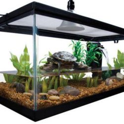 Fish Or Reptile Tank And Decorations 