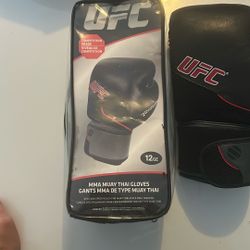 UFC / MMA 12oz Muay thai Gloves 