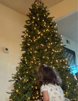 7,5 tall Christmas Tree