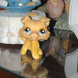 Lps Collie #1194