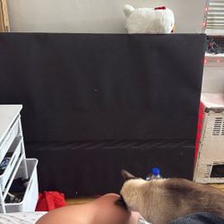 Electric Bed With Control Missing legs 