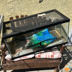 Reptile tank