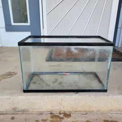 10 Gallon Tank!