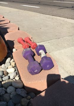 Set of 2 pound weights only