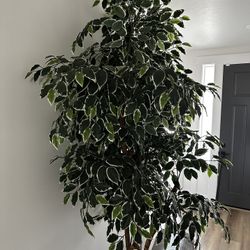 7 Foot Artificial Tree
