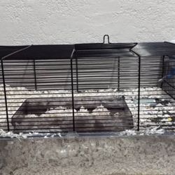 Hamster Cage 🐹 