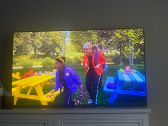65” Roku tv