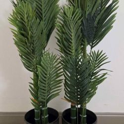 *** NEW LOW PRICE *** PAIR of 50" Faux Golden Cane Palms in 11" (Tall) Green Resin Planters @ Lasting Creations
