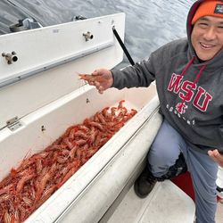 2252 Hardtop Seafood Catching  Boat 