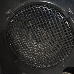 Polytone Mini Brute. 15"