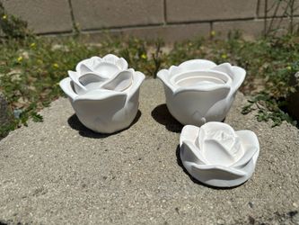 2 Rose Flower Plaster Casts