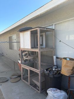 Cat Patio