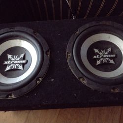Two 10" Subwoofers In A Box