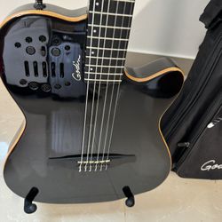 Godin Guitar 