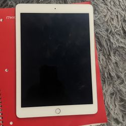 iPad 