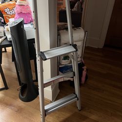 Foldable Ladder