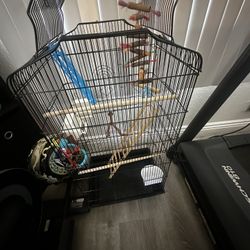 Bird Cage