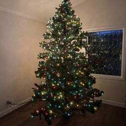 Big Christmas Tree $70