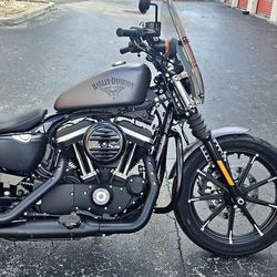 Harley Davidson Sportster 833 Iron